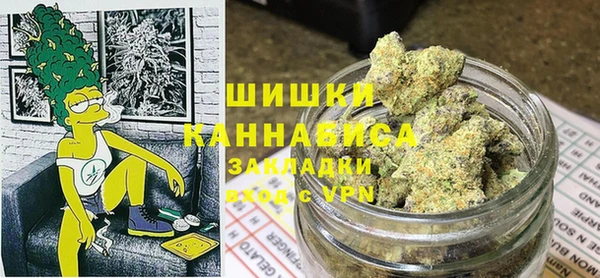 индика Нефтегорск