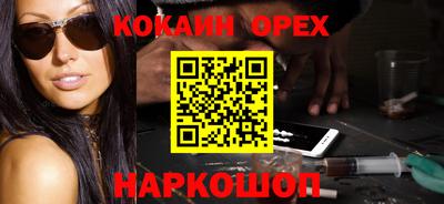стафф Кингисепп