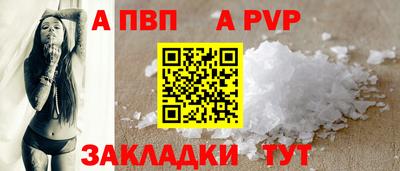 стафф Кингисепп