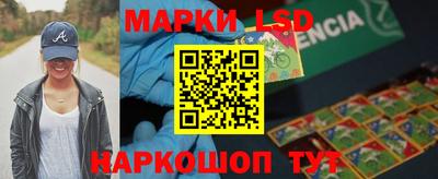 стафф Кингисепп