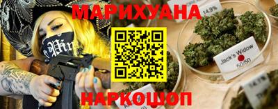 стафф Кингисепп