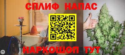 ГАЛЛЮЦИНОГЕННЫЕ ГРИБЫ Беслан