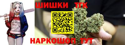 стафф Кингисепп