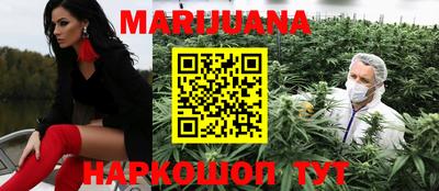стафф Кингисепп