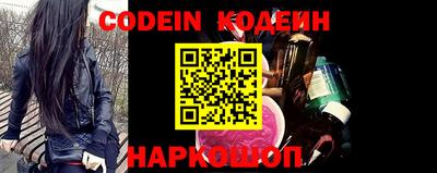 стафф Кингисепп