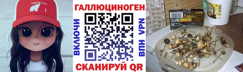 Псилоцибиновые грибы Cubensis  hydra зеркало  Нижнекамск 