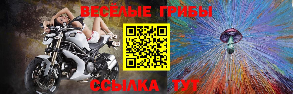 Галлюциногенные грибы ЛСД Нижнекамск