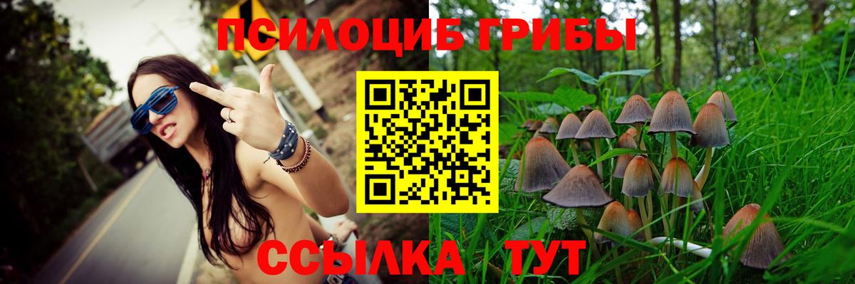 Галлюциногенные грибы Psilocybe  как найти закладки  Нижнекамск  Галлюциногенные грибы MAGIC MUSHROOMS  Вход с VPN 